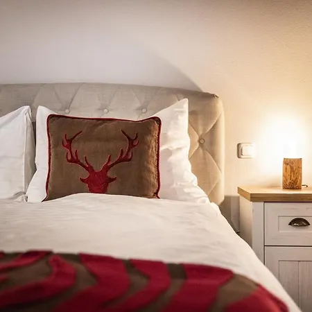 Aaron 阿尔滕马克特蓬高